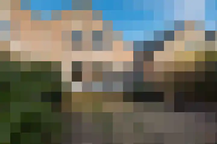 Eidereend 65 Emmen thumbnail 28