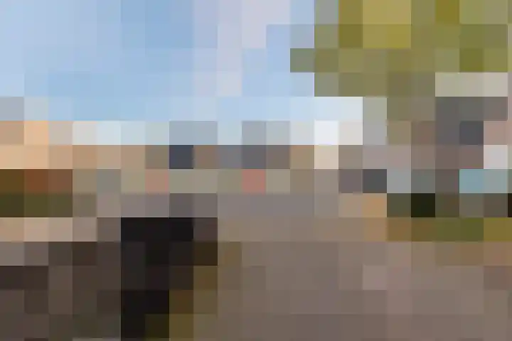 Eidereend 65 Emmen thumbnail 30