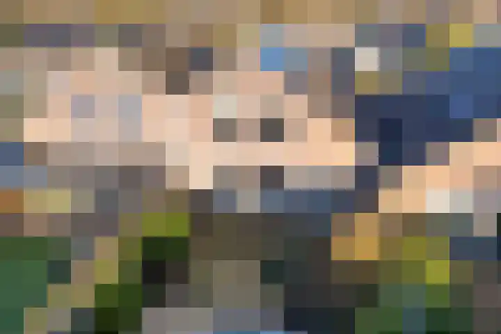 Eidereend 65 Emmen thumbnail 31