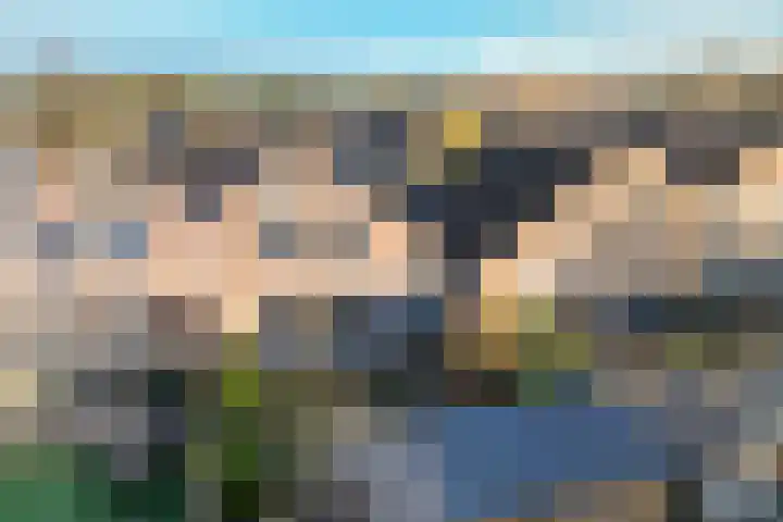 Eidereend 65 Emmen thumbnail 32