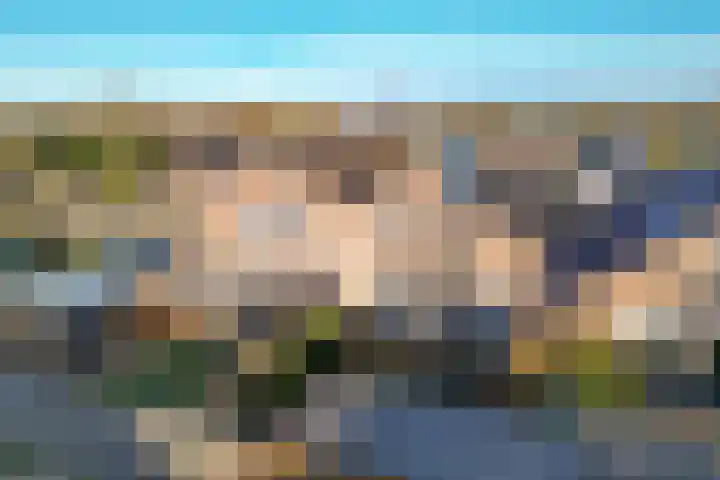 Eidereend 65 Emmen thumbnail 33
