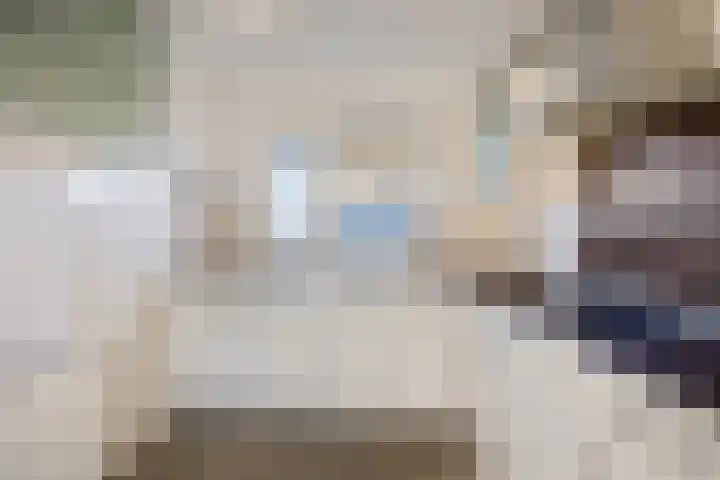 Eidereend 65 Emmen thumbnail 4