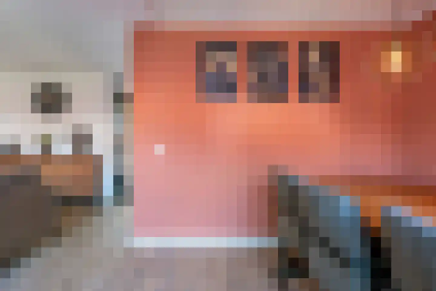 Eidereend 72 Emmen thumbnail 10