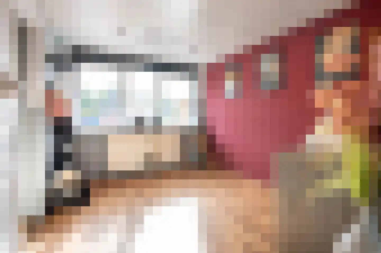 Eidereend 72 Emmen thumbnail 15