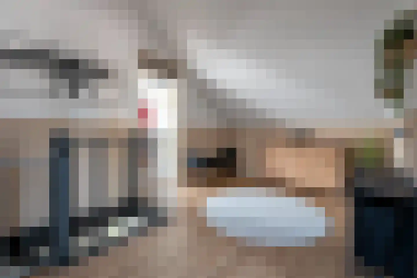 Eidereend 72 Emmen thumbnail 23