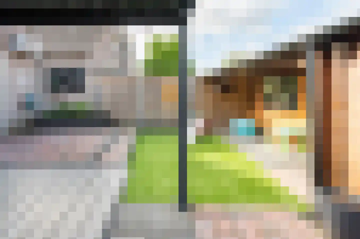 Eidereend 72 Emmen thumbnail 27