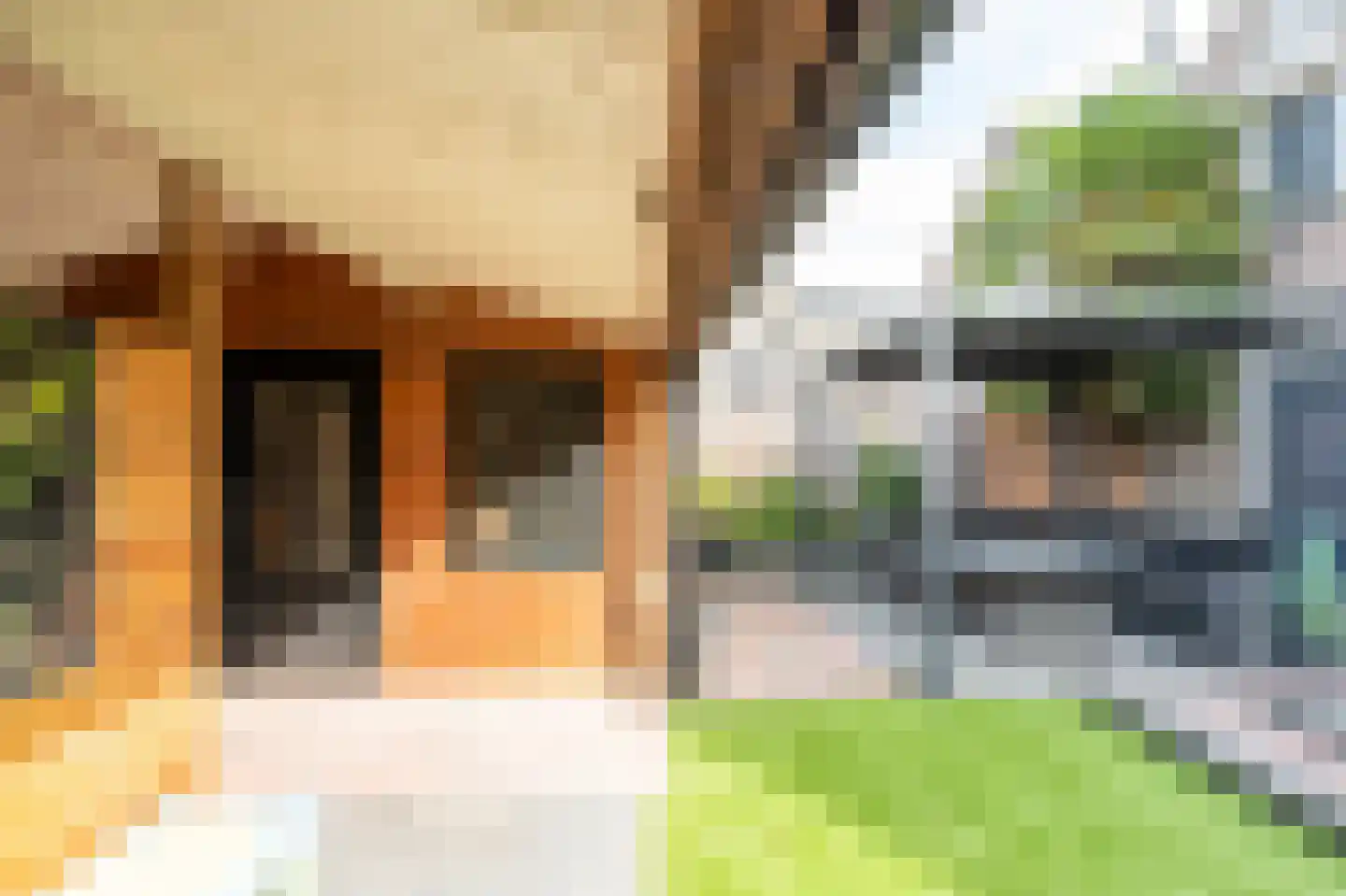 Eidereend 72 Emmen thumbnail 28