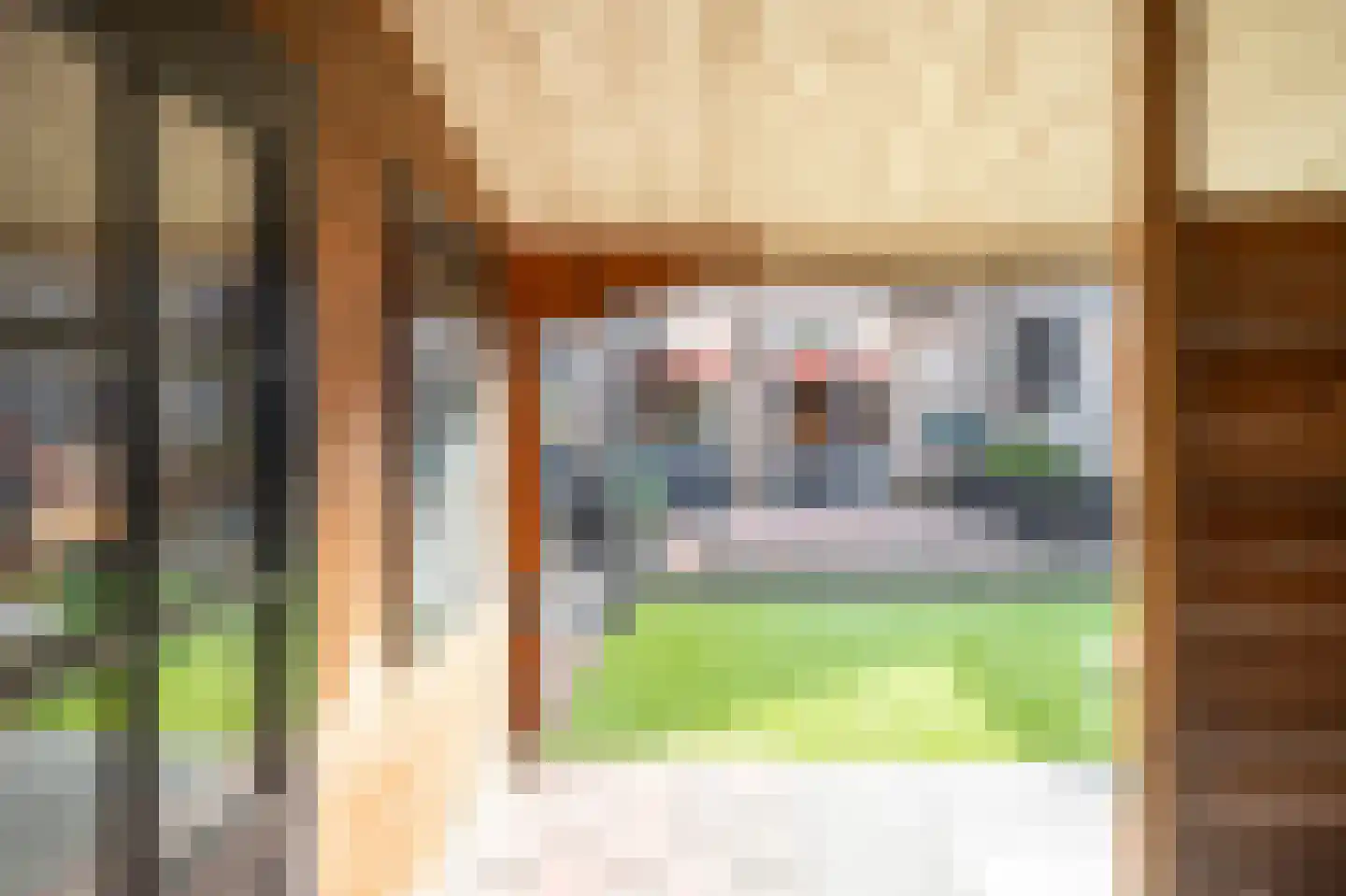 Eidereend 72 Emmen thumbnail 29