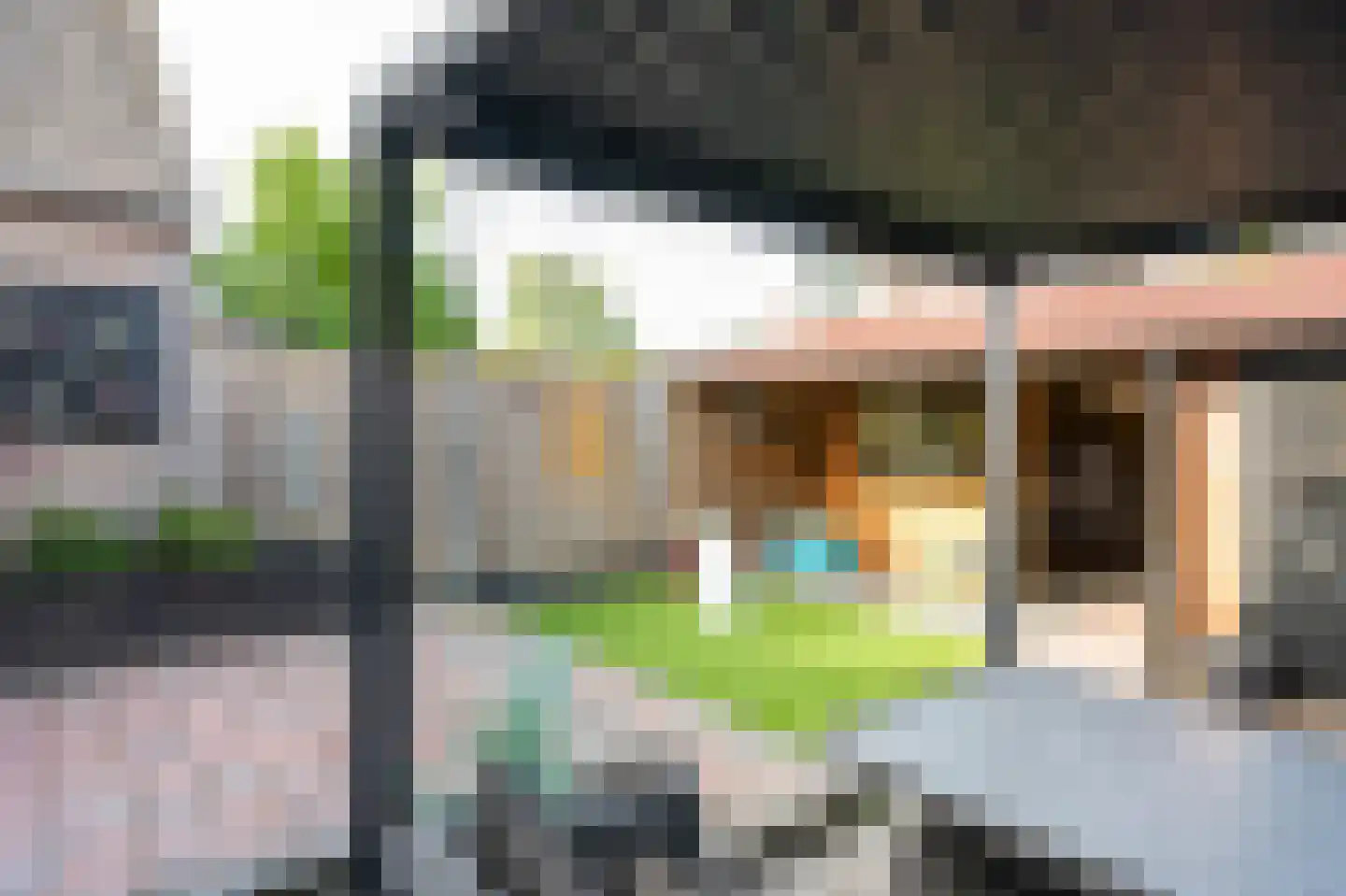 Eidereend 72 Emmen thumbnail 30