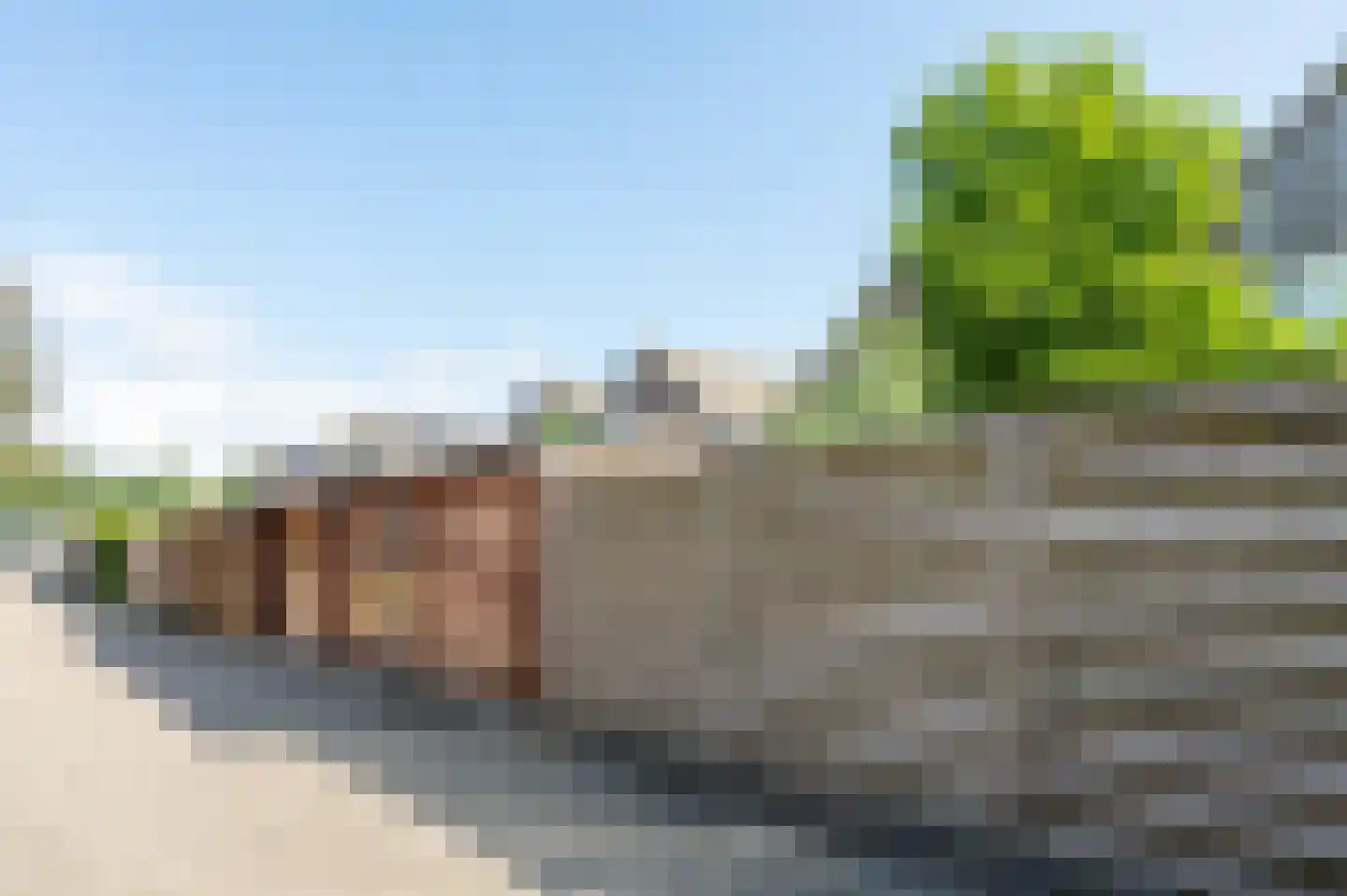 Eidereend 72 Emmen thumbnail 36