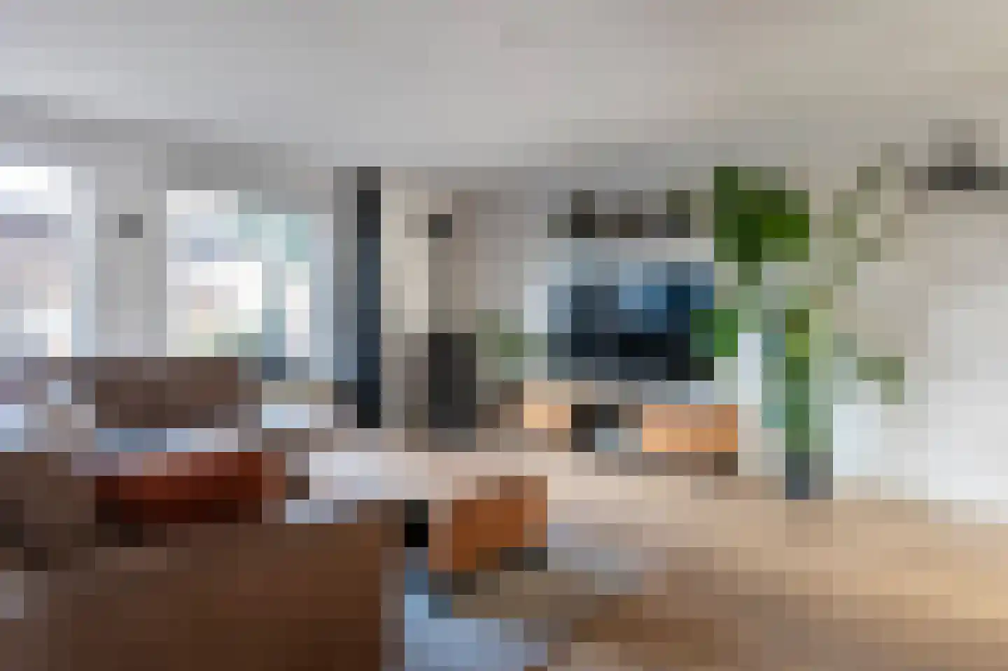 Eidereend 72 Emmen thumbnail 6