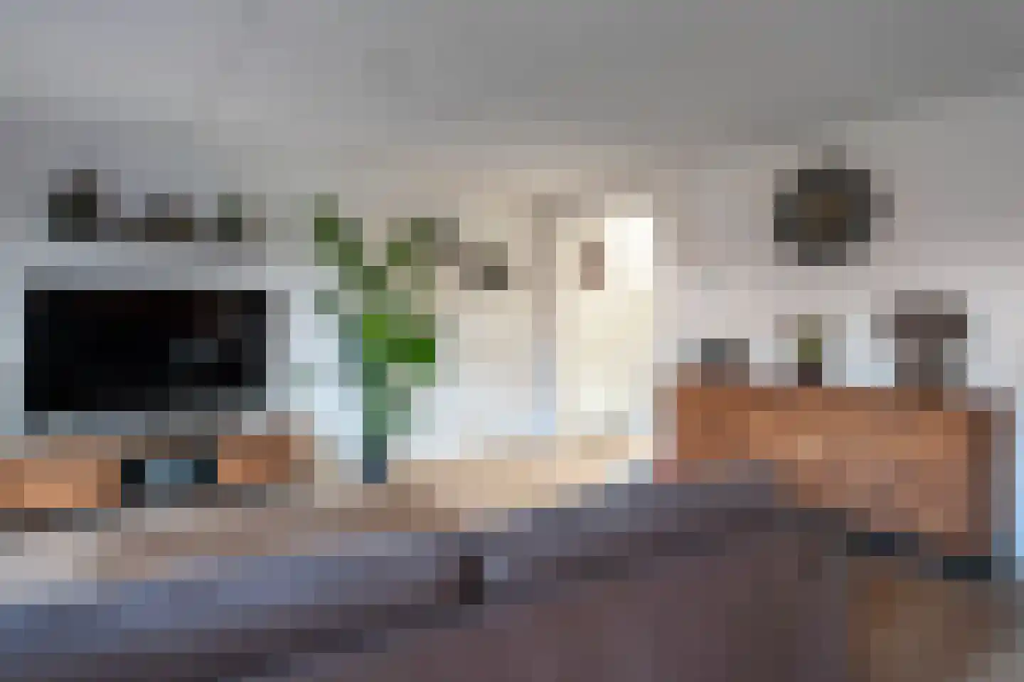 Eidereend 72 Emmen thumbnail 7