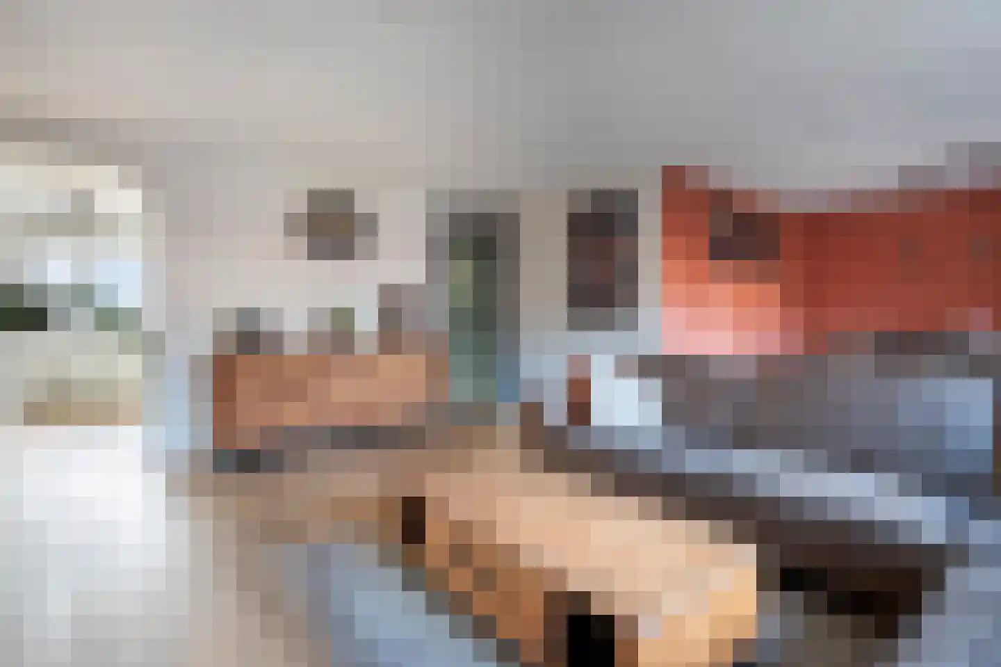 Eidereend 72 Emmen thumbnail 8