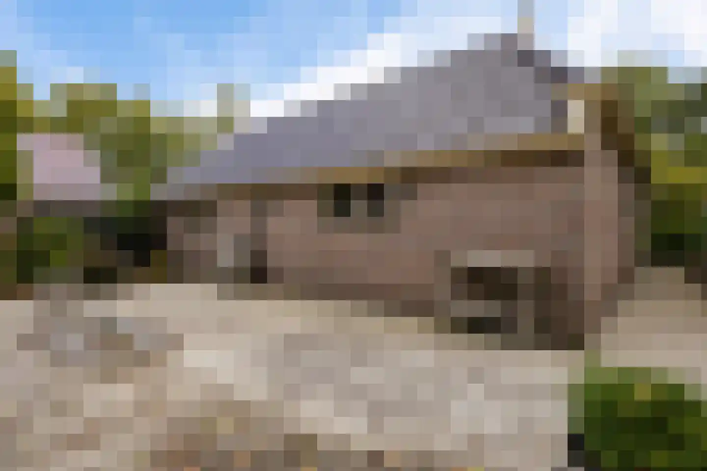 Eideweg 45 Siddeburen thumbnail 14