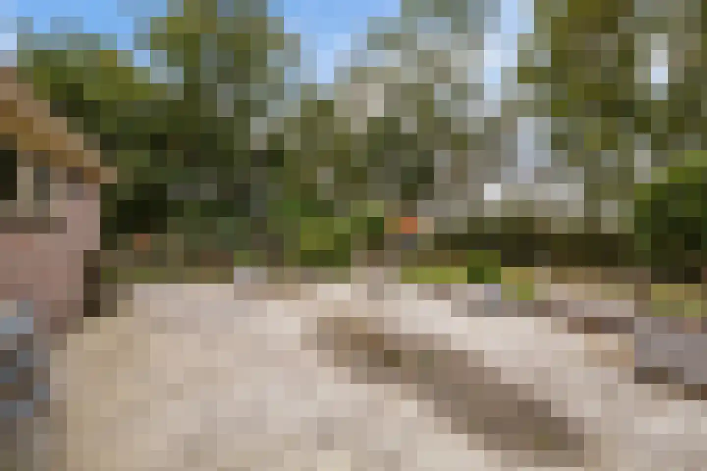 Eideweg 45 Siddeburen thumbnail 15
