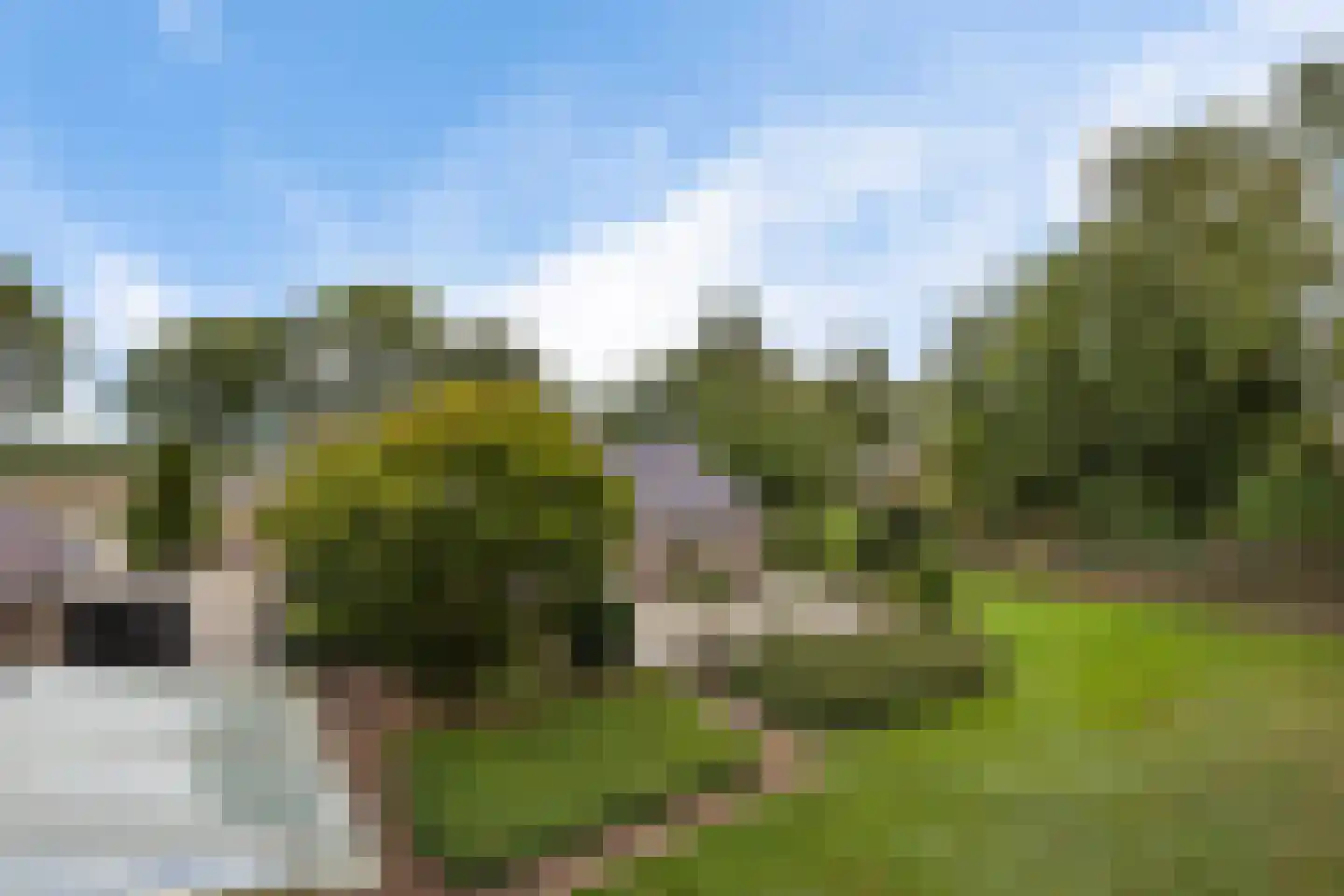 Eideweg 45 Siddeburen thumbnail 17