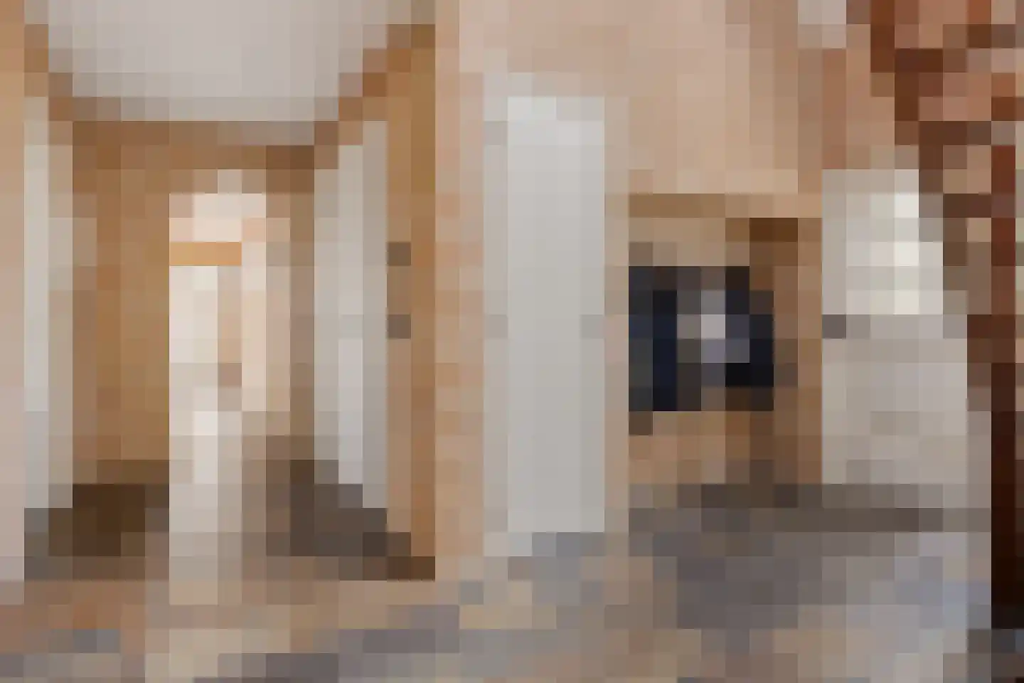 Eideweg 45 Siddeburen thumbnail 26