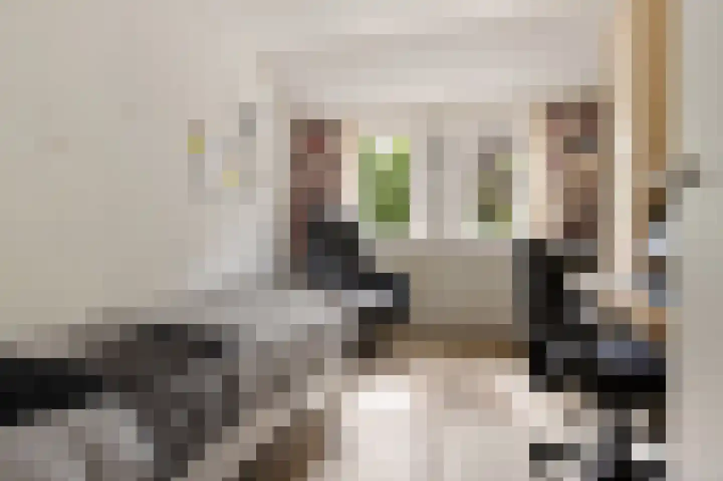 Eideweg 45 Siddeburen thumbnail 42