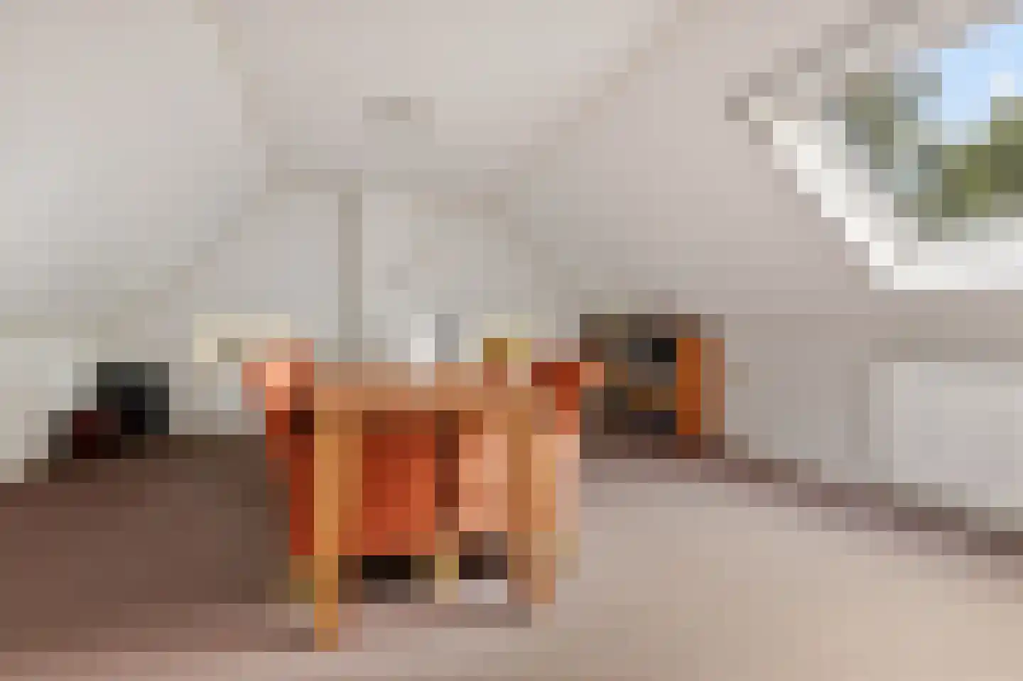 Eideweg 45 Siddeburen thumbnail 51