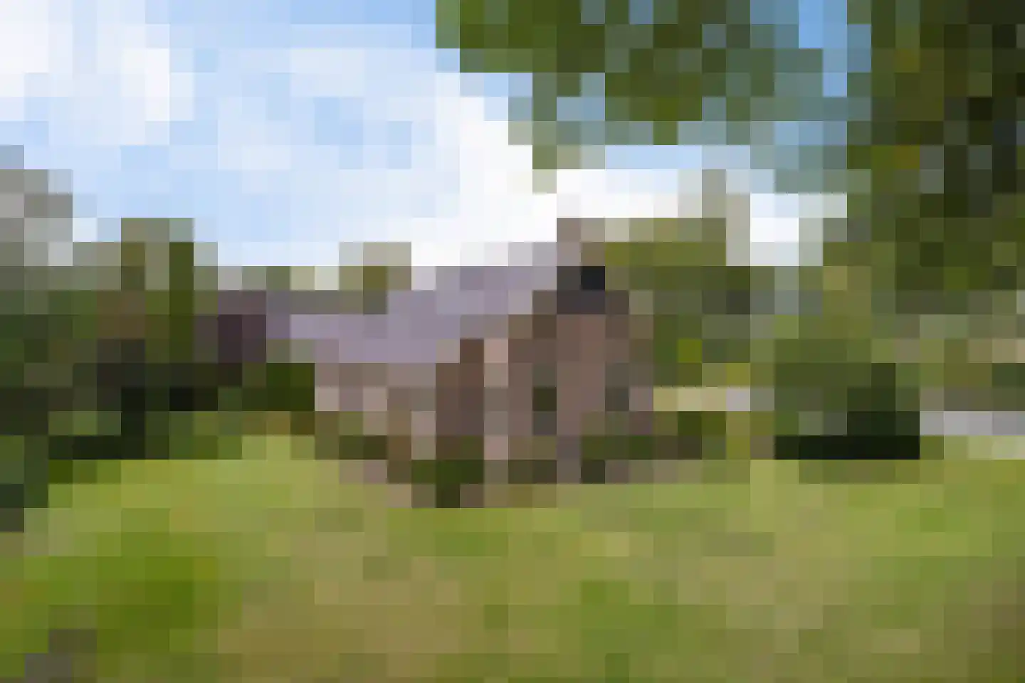 Eideweg 45 Siddeburen thumbnail 6