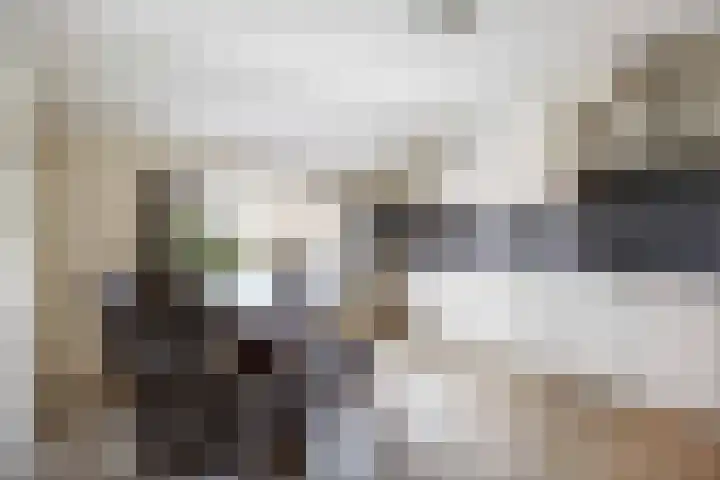 Eideweg 63 Siddeburen thumbnail 16