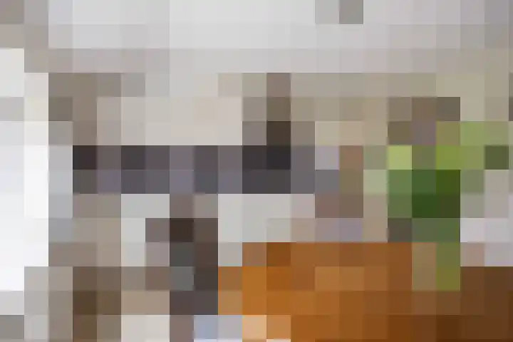Eideweg 63 Siddeburen thumbnail 17