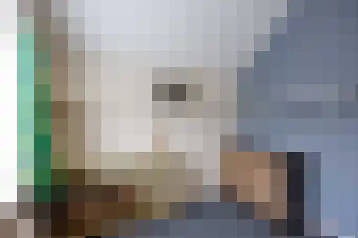 Eideweg 63 Siddeburen thumbnail 25