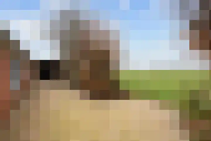 Eideweg 63 Siddeburen thumbnail 34