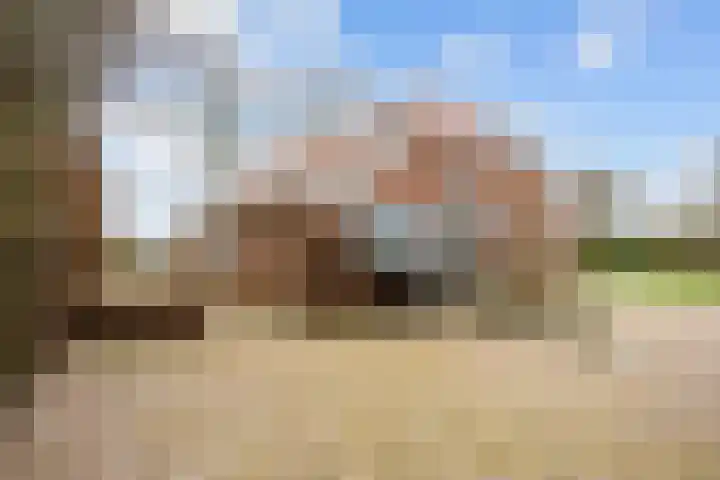Eideweg 63 Siddeburen thumbnail 37