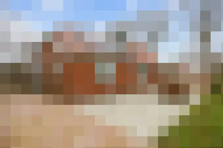 Eideweg 63 Siddeburen thumbnail 39