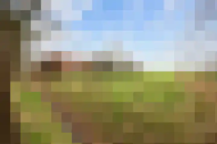 Eideweg 63 Siddeburen thumbnail 4