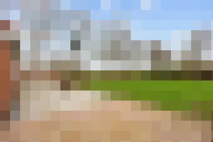 Eideweg 63 Siddeburen thumbnail 40