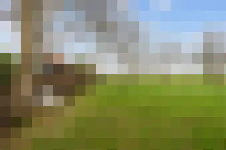Eideweg 63 Siddeburen thumbnail 41