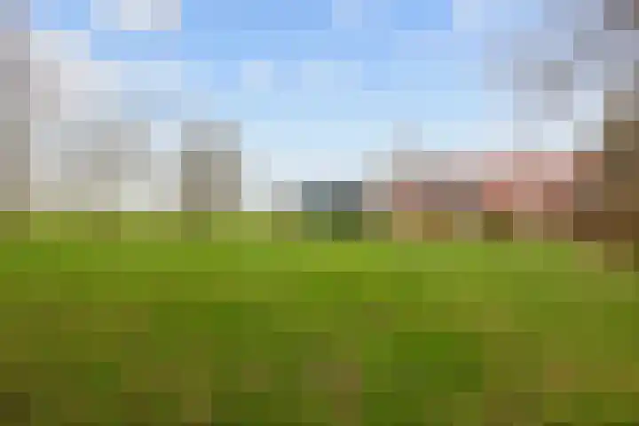 Eideweg 63 Siddeburen thumbnail 42