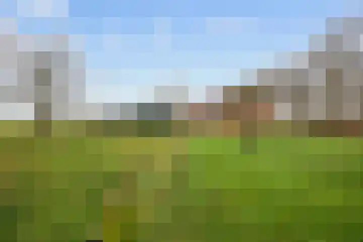 Eideweg 63 Siddeburen thumbnail 43