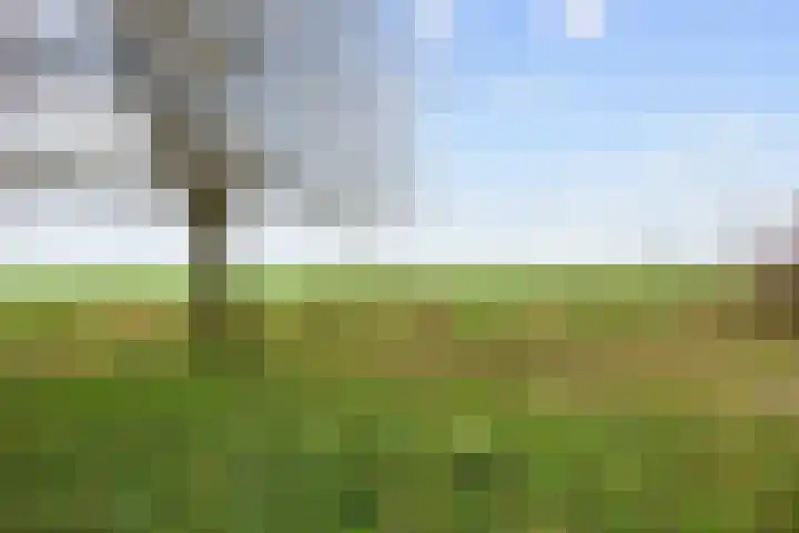 Eideweg 63 Siddeburen thumbnail 45