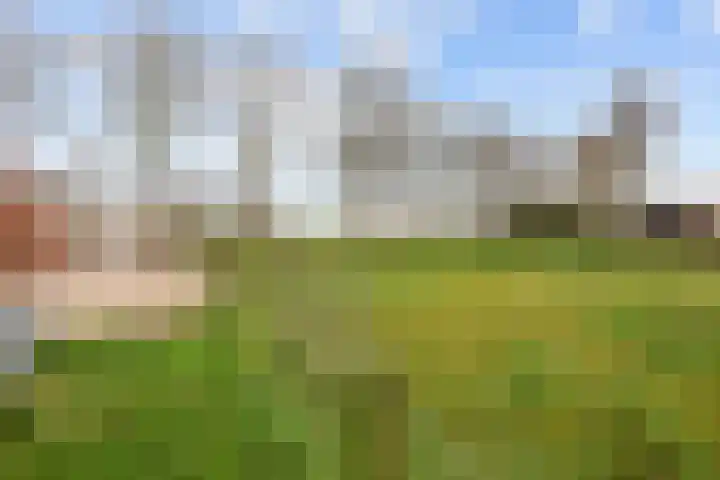 Eideweg 63 Siddeburen thumbnail 46