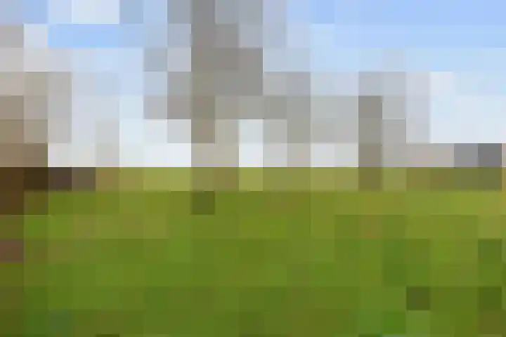 Eideweg 63 Siddeburen thumbnail 47