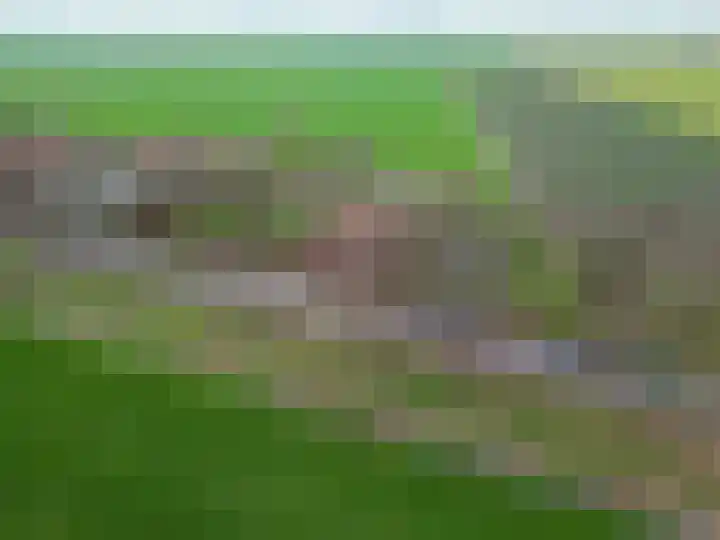 Eideweg 63 Siddeburen thumbnail 48