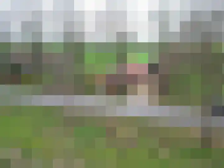 Eideweg 63 Siddeburen thumbnail 5