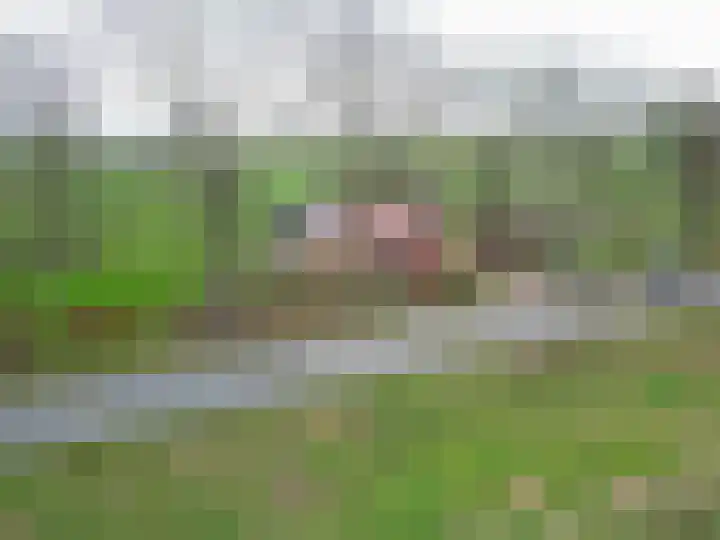 Eideweg 63 Siddeburen thumbnail 51