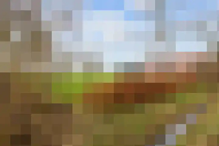 Eideweg 63 Siddeburen thumbnail 6