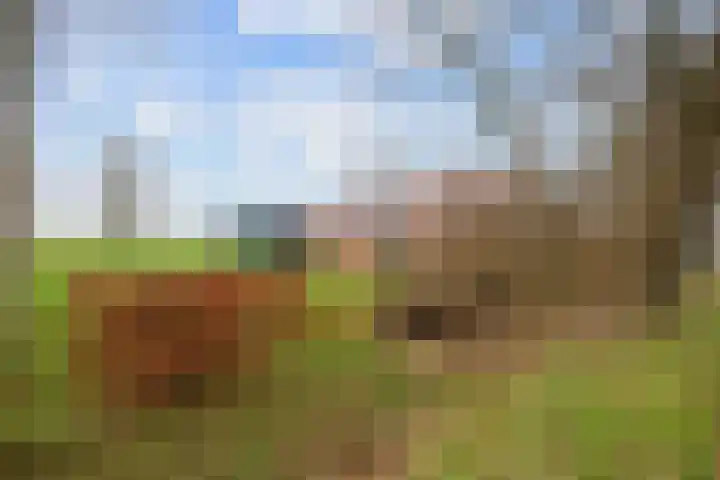 Eideweg 63 Siddeburen thumbnail 7