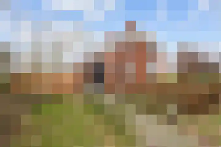 Eideweg 63 Siddeburen thumbnail 8