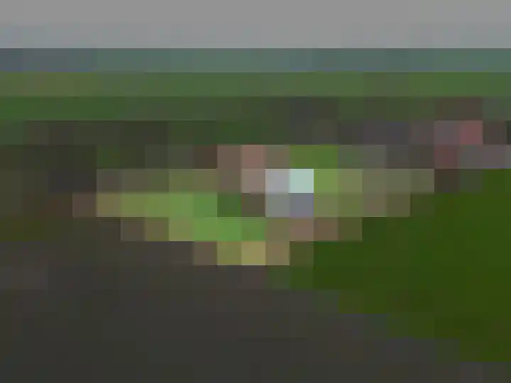 Eideweg 63 Siddeburen thumbnail 9