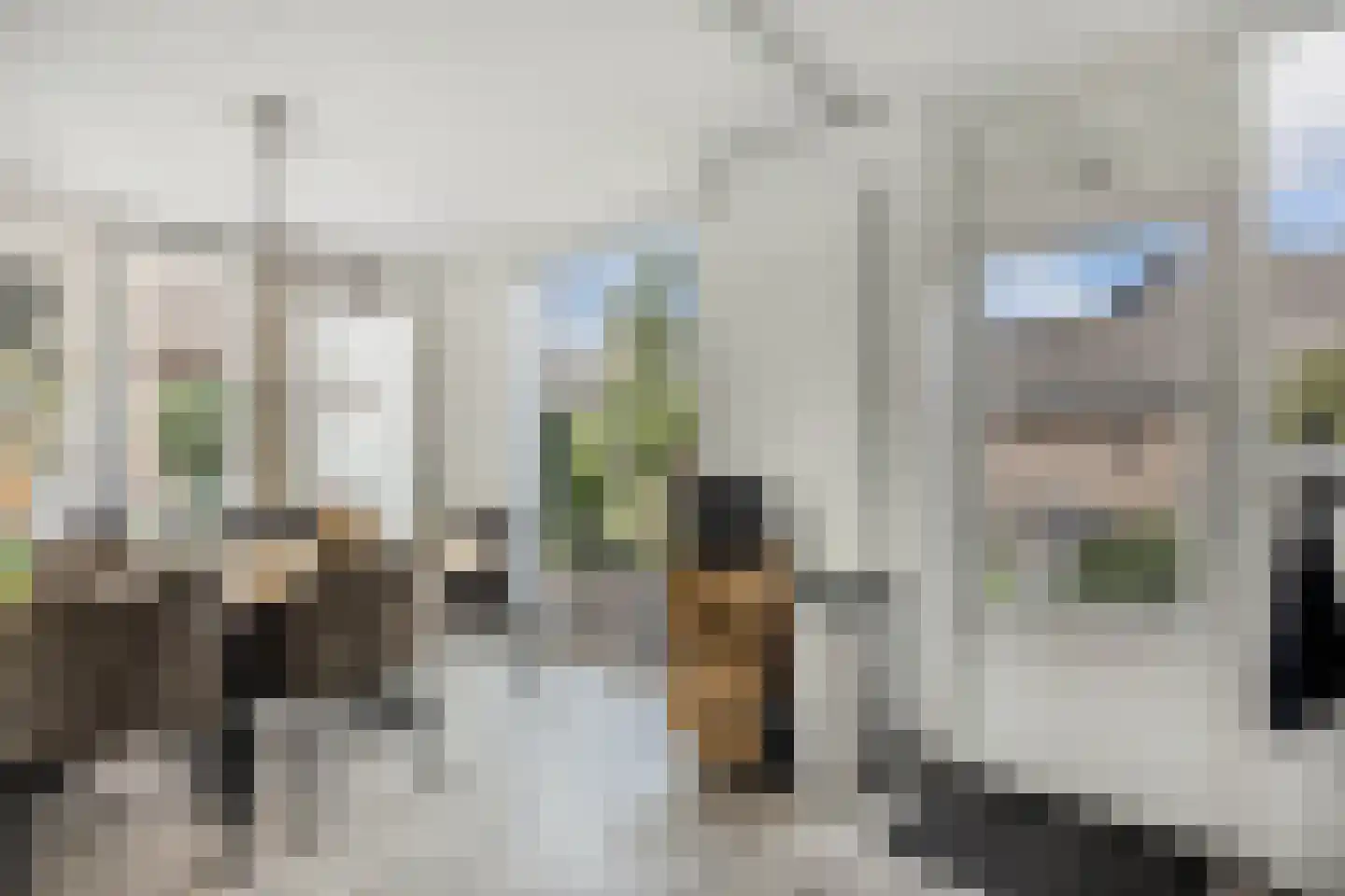 Eierlanden 100 Huizen thumbnail 10