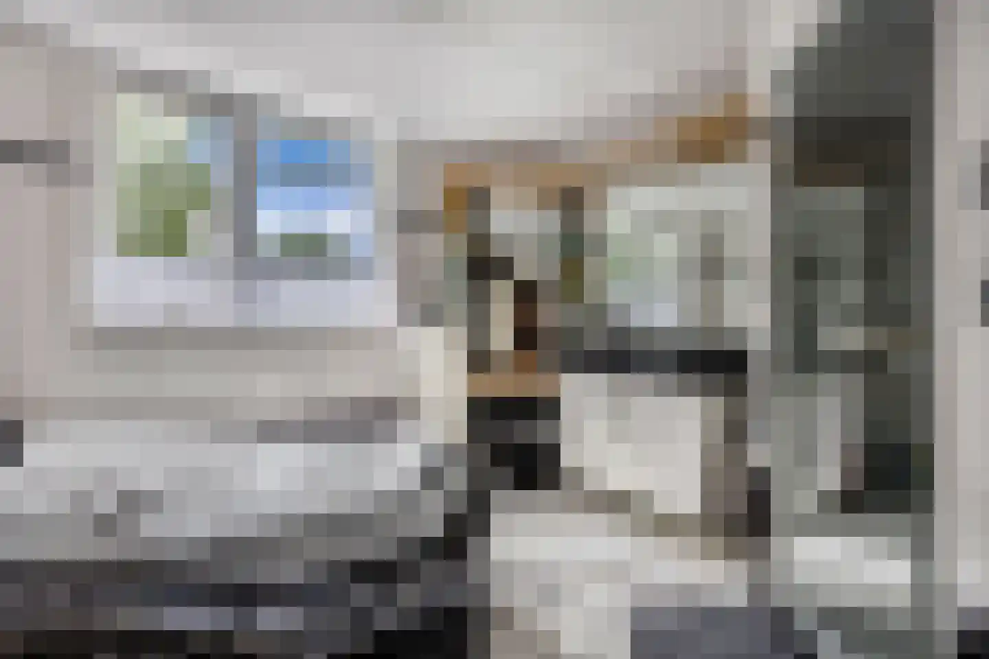 Eierlanden 100 Huizen thumbnail 13