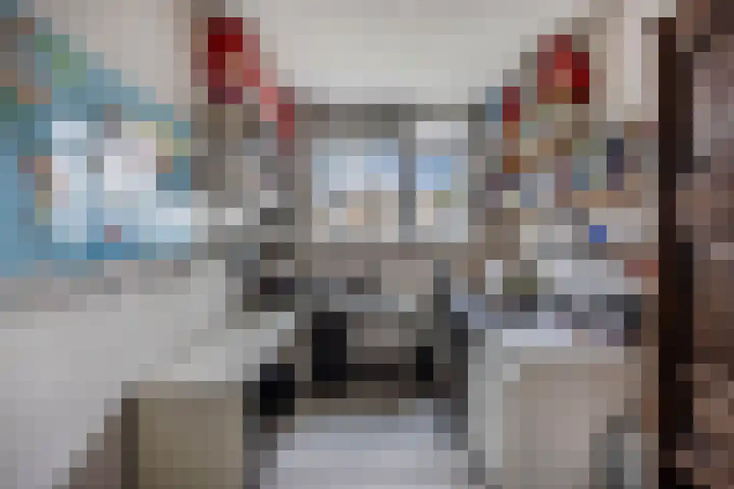 Eierlanden 100 Huizen thumbnail 15