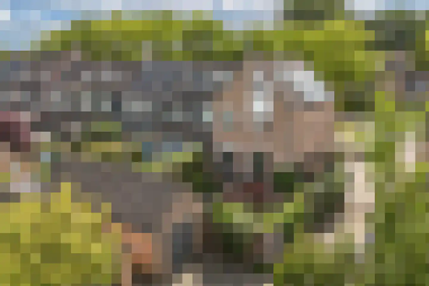 Eierlanden 100 Huizen thumbnail 26