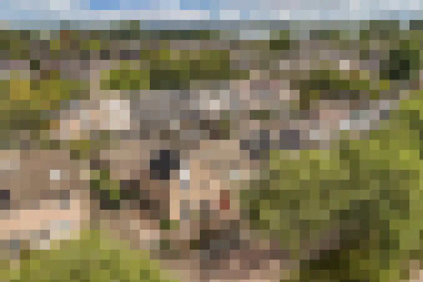 Eierlanden 100 Huizen thumbnail 27